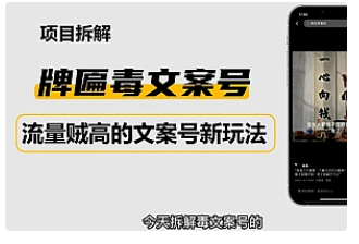 【副业项目4912期】2023抖音快手毒文案新玩法，牌匾文案号，起号快易变现-知行副业网