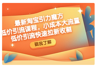 【副业项目4943期】最新淘宝引力魔方低价引流实操：小成本大流量，低价引流快速拉新收割-知行副业网