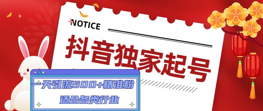 【副业项目5106期】抖音独家起号，一天引流500+精准粉，适合各类行业（9节视频课）-知行副业网