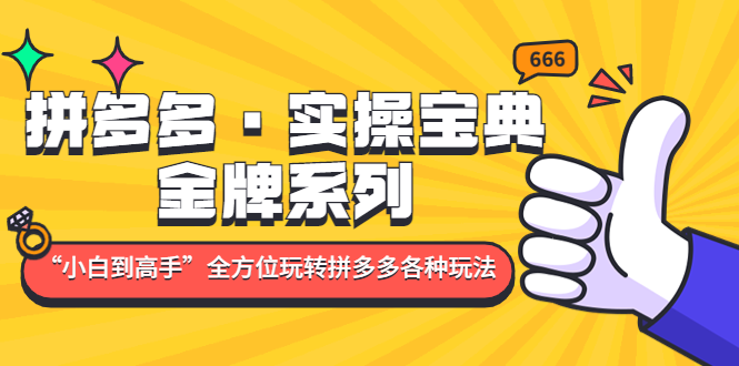 【副业项目5130期】拼多多·实操宝典：金牌系列“小白到高手”带你全方位玩转拼多多各种玩法-知行副业网