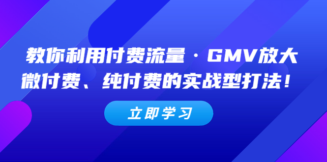 【副业项目5265期】教你利用付费流量·GMV放大，微付费、纯付费的实战型打法-知行副业网