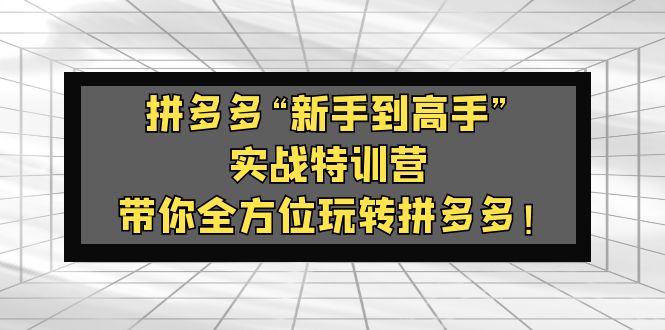 【副业项目5317期】拼多多“新手到高手”实战特训营：带你全方位玩转拼多多-知行副业网