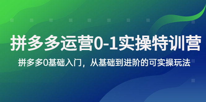 【副业项目5801期】拼多多-运营0-1实操训练营，拼多多0基础入门，从基础到进阶的可实操玩法-知行副业网