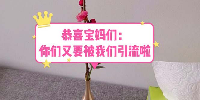 【副业项目5918期】恭喜宝妈们：你们又要被我们引流了（教程+222g资料）-知行副业网