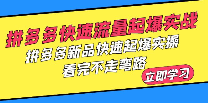 【副业项目6310期】拼多多-快速流量起爆实战，拼多多新品快速起爆实操，看完不走弯路-知行副业网