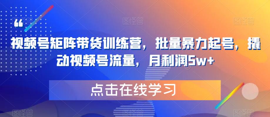 【副业项目6254期】视频号矩阵带货训练营，批量暴力起号，撬动视频号流量，月利润5w+-知行副业网