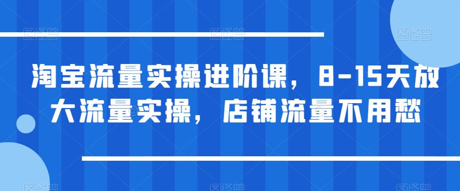 【副业项目6415期】淘宝流量实操进阶课，8-15天放大流量实操，店铺流量不用愁-知行副业网