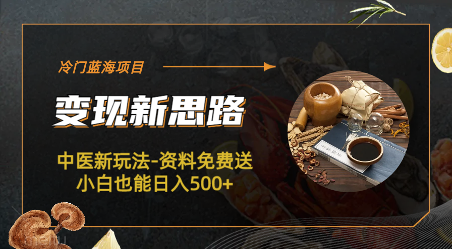 【副业项目6563期】冷门蓝海项目-中医新玩法-资料免费送小白也能日入500+-知行副业网