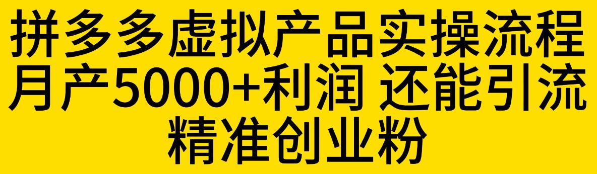 【副业项目6569期】拼多多虚拟产品实操流程，月产5000+利润，还能引流精准创业粉-知行副业网