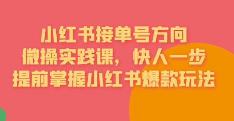 【副业项目6820期】接单号方向·小红书微操实践课，快人一步，提前掌握小红书爆款玩法-知行副业网