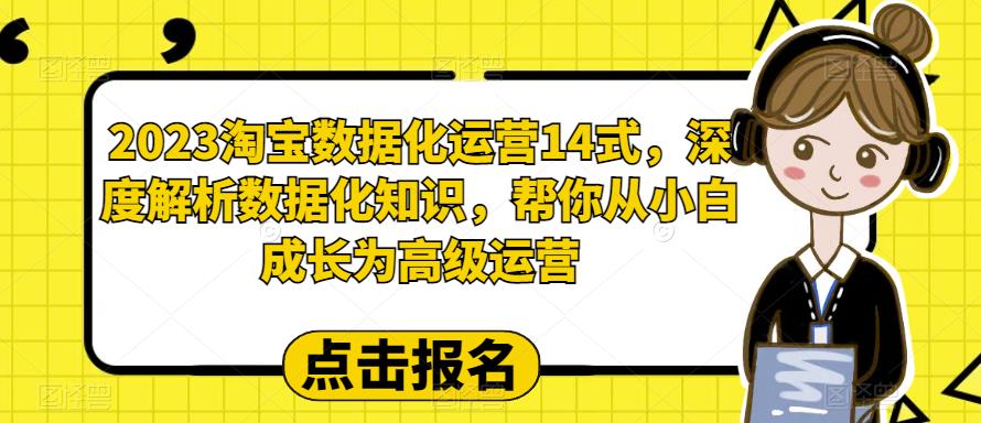 【副业项目6599期】2023淘宝数据化-运营 14式，深度解析数据化知识，帮你从小白成长为高级运营-知行副业网