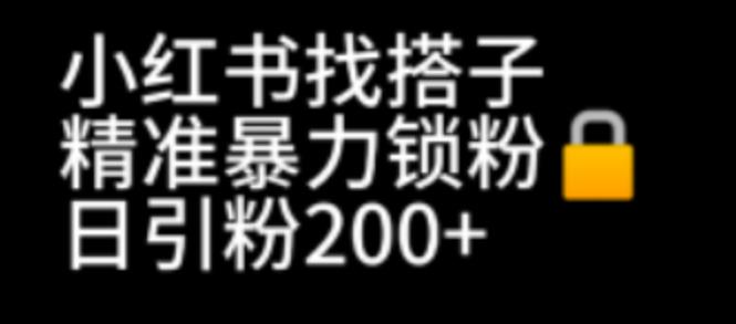 【副业项目7040期】小红书找搭子暴力精准锁粉+引流日引200+精准粉-知行副业网