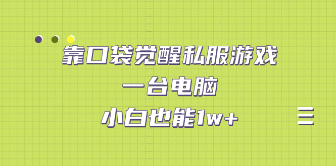 【副业项目7248期】靠口袋觉醒私服游戏，一台电脑，小白也能1w+（教程+工具+资料）-知行副业网