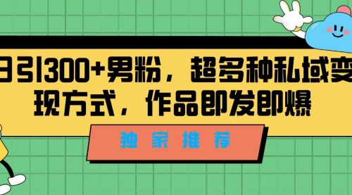 【副业项目7191期】独家推荐！日引300+男粉，超多种私域变现方式-知行副业网