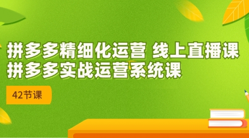 【副业项目7292期】2023年新课-拼多多精细化运营-知行副业网