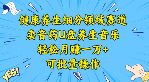 【副业项目8638期】健康养生细分领域赛道，卖音药U盘养生音乐，轻松月赚一万+，可批量操作-知行副业网