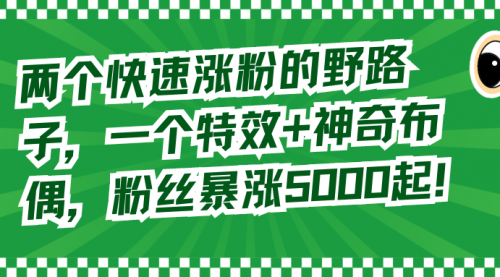 【副业8723期】两个快速涨粉的野路子，一个特效+神奇布偶，粉丝暴涨5000起！-知行副业网