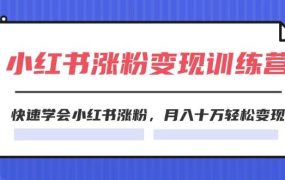 2024小红书涨粉变现训练营,快速学会小红书涨粉,月入十万轻松变现(40节)-知行副业网