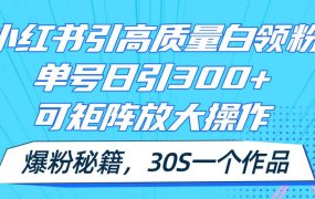 小红书引高质量白领粉,单号日引300+,可放大操作,爆粉秘籍!30s一个作品-知行副业网