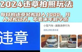 2024违章拍照新玩法，推广躺赚+拍照赚钱双模式，日入1000+-知行副业网