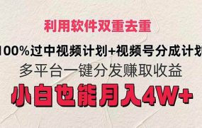 利用软件双重去重,100%过中视频+视频号分成计划小白也可以月入4W+-知行副业网