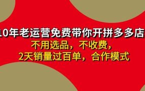 拼多多 最新合作开店日收4000+两天销量过百单,无学费、老运营代操作、...-知行副业网