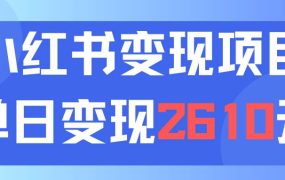 利用小红书卖资料单日引流150人当日变现2610元小白可实操(教程+资料)-知行副业网