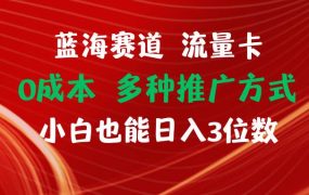 蓝海赛道 流量卡 0成本 小白也能日入三位数-知行副业网