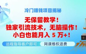 冷门赚钱项目无保留教学!独家引流技术,无脑操作!小白也能月入5万+!-知行副业网