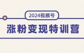 2024视频号-涨粉变现特训营：一站式打造稳定视频号涨粉变现模式（10节）-知行副业网
