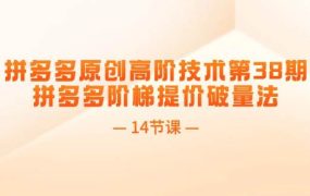 拼多多原创高阶技术第38期,拼多多阶梯提价破量法(14节课)-知行副业网