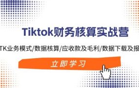 Tiktok财务核算实战营:TK业务模式/数据核算/应收款及毛利/数据下载及报表-知行副业网