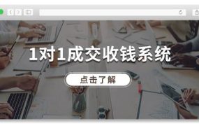 1对1成交 收钱系统,十年专注于引流和成交,全网130万+粉丝-知行副业网