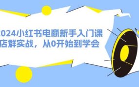 2024小红书电商新手入门课，店群实战，从0开始到学会（31节）-知行副业网