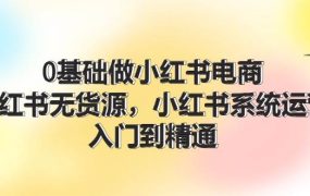 0基础做小红书电商,小红书无货源,小红书系统运营,入门到精通 (70节)-知行副业网