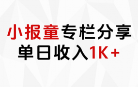 小报童专栏分享,当日收入1K+-知行副业网
