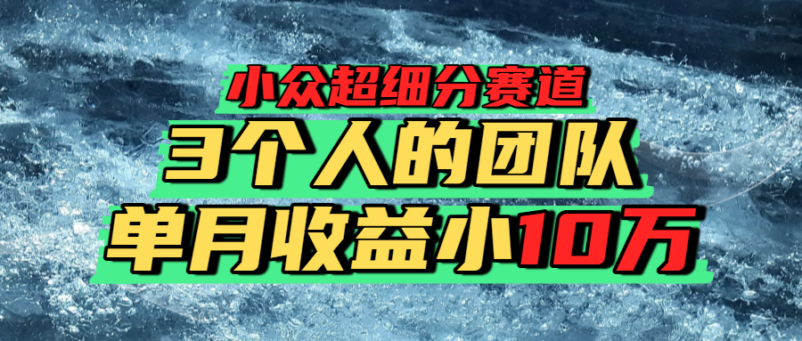 小众超细分赛道，一年百万利润的盘子！-知行副业网